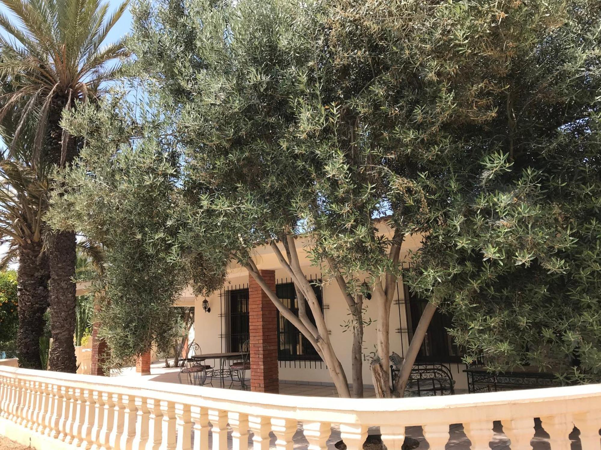 Tiguimi Vacances - Oasis Villas, Cadre Naturel Et Vue Montagne Agadir Dış mekan fotoğraf
