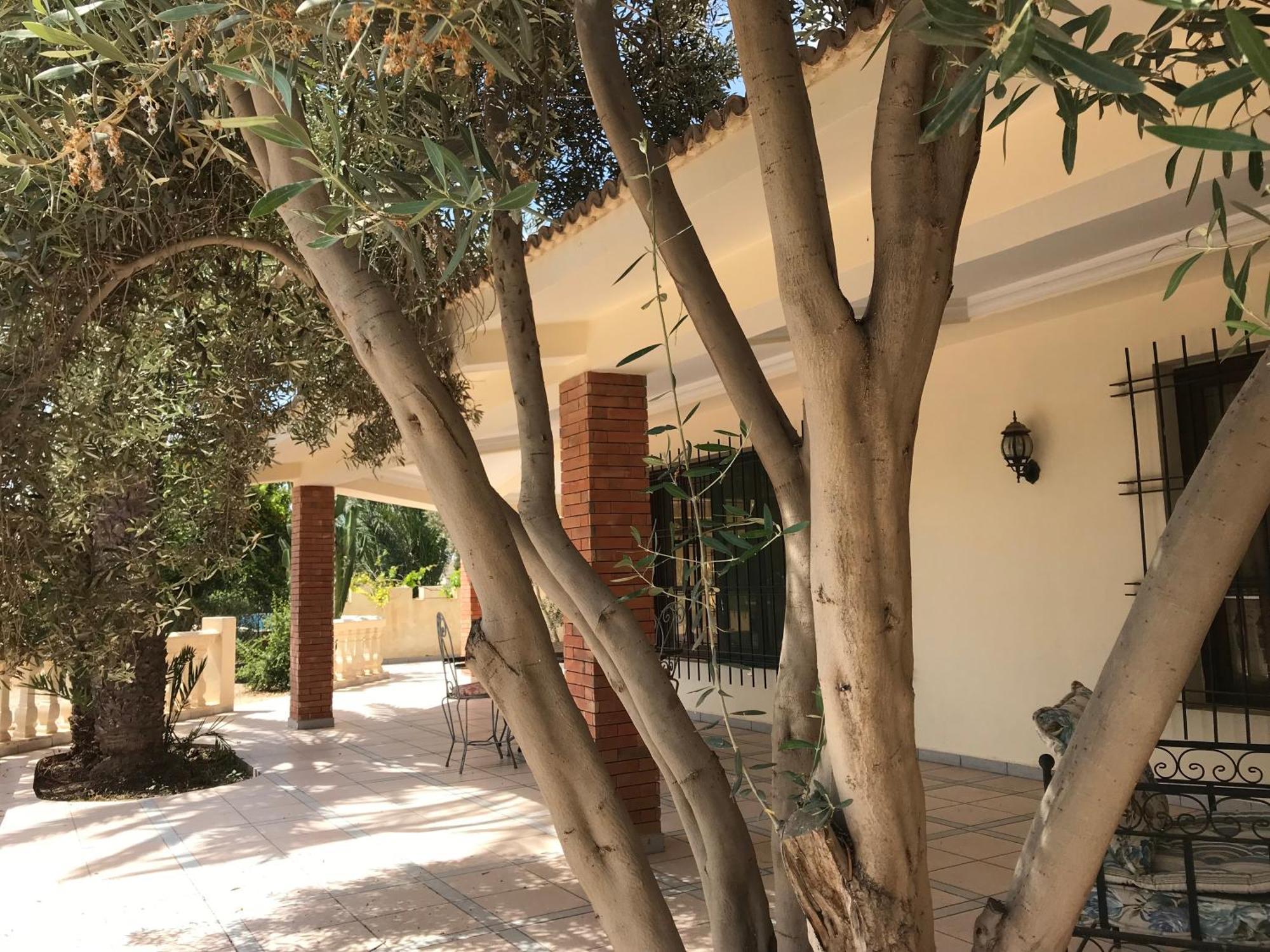 Tiguimi Vacances - Oasis Villas, Cadre Naturel Et Vue Montagne Agadir Dış mekan fotoğraf