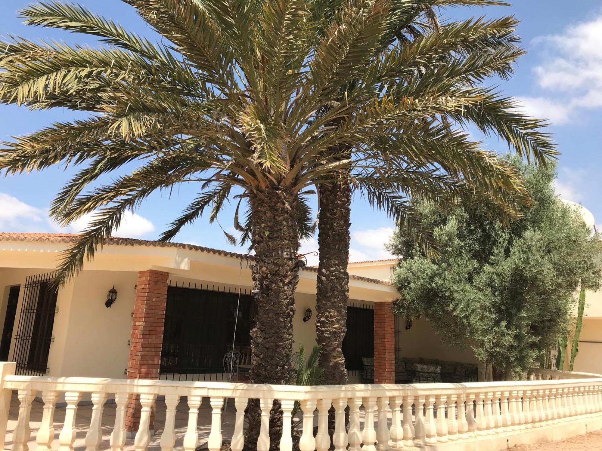 Tiguimi Vacances - Oasis Villas, Cadre Naturel Et Vue Montagne Agadir Dış mekan fotoğraf