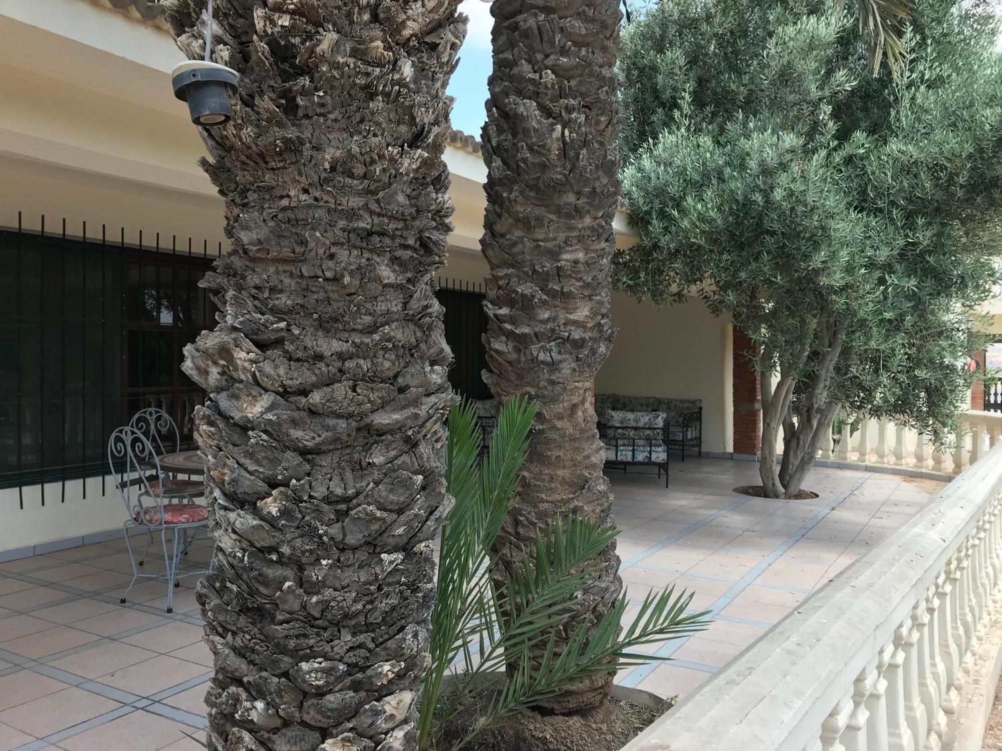 Tiguimi Vacances - Oasis Villas, Cadre Naturel Et Vue Montagne Agadir Dış mekan fotoğraf