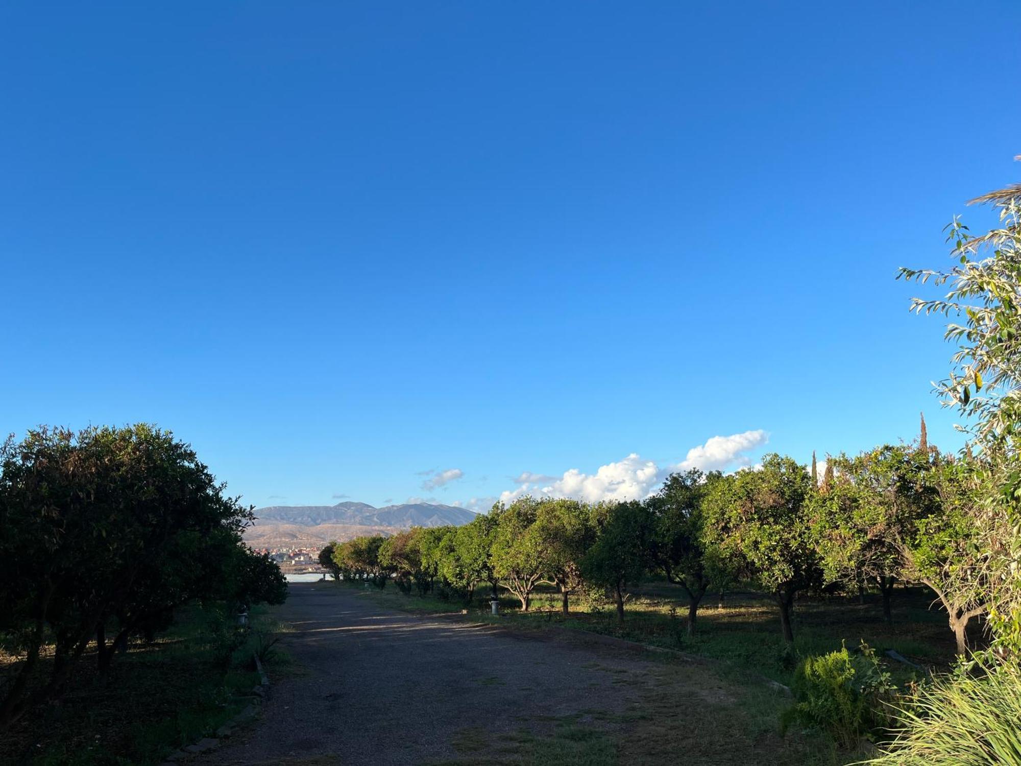 Tiguimi Vacances - Oasis Villas, Cadre Naturel Et Vue Montagne Agadir Dış mekan fotoğraf