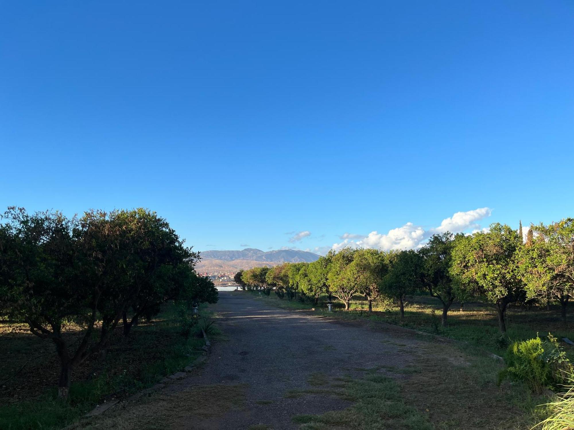 Tiguimi Vacances - Oasis Villas, Cadre Naturel Et Vue Montagne Agadir Dış mekan fotoğraf